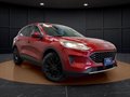 2020 Ford Escape SE in Frankfort - TradinPost Classifieds